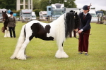 SBM_05990