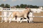 SBM_08605