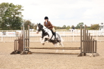 SBM_06230
