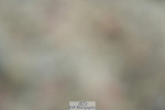 230708A-115557-01220