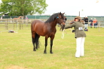 SBM_04195