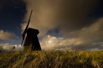 Rottingdean Windmill  VI
