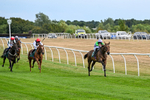 040826-Race 5-Halimede-5426