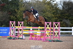 Cls 5 Foxhunter & 1.20m Open portfolio