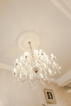 _DSC0115_websize