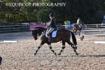 BPP_9569