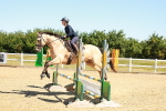 SBM_005332