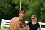 Wednesday Trot Up portfolio
