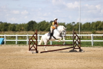 SBM_001503