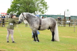 SBM_00539