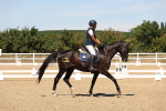 SBM_002805