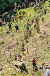 Coniston Junior-73