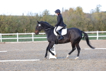 SBM_003334