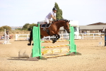 SBM_001342