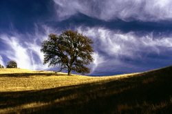 Sutter Buttes portfolio