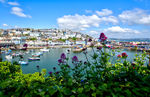 BX39 - Brixham Harbour View