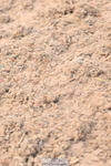 240608A-124030-02342