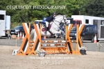 BPP_1517
