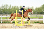 SBM_009088