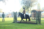 SBM_37345