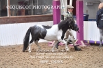 BPP_0493
