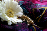 Flowers Set 05 - 07