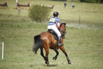BVHT 140517  IXC -218
