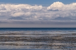 Salish Sea