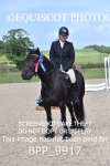 CLASS 3 Derby Show Jumping 40CM portfolio