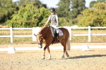 SBM_007736