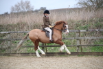 SBM_006114