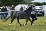 DSC04930