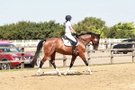SBM_001627