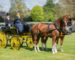Attelage -629
