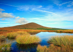 Autumn at South Barrule
