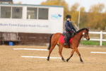 SBM_000247
