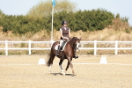 SBM_017366