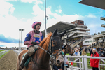 121225-Race 3-Fortune De Mer-5112