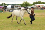 SBM_04065
