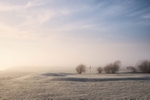 by Andy Farrell 1