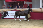 SBM_06625