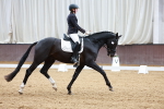 SBM_001561