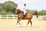 SBM_002226