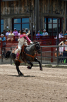 _DSC0705