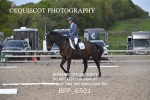 BPP_6501