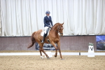SBM_005165