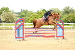 SBM_000974