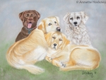 Ted Tom Bud and Tess