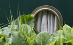 Porthole Leaves
