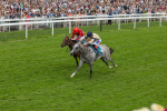 270724-Race 4-Greydreambeliever-4713